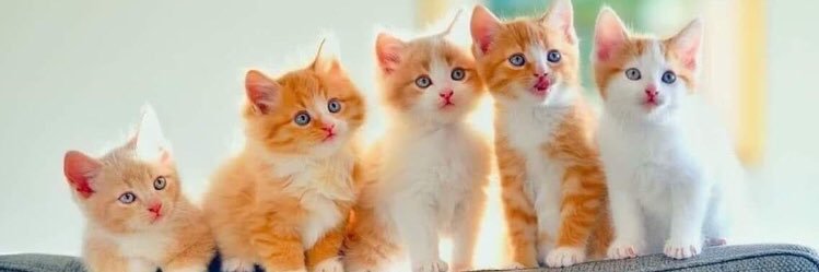 Ensan_raqi2's profile banner image