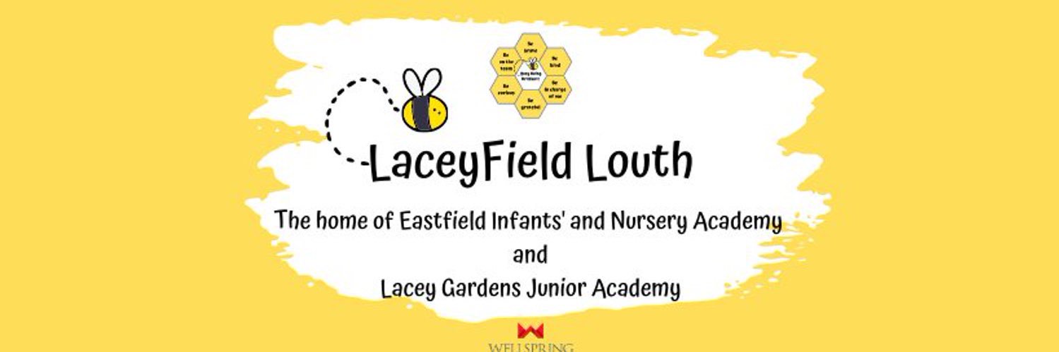 Y6LaceyField banner