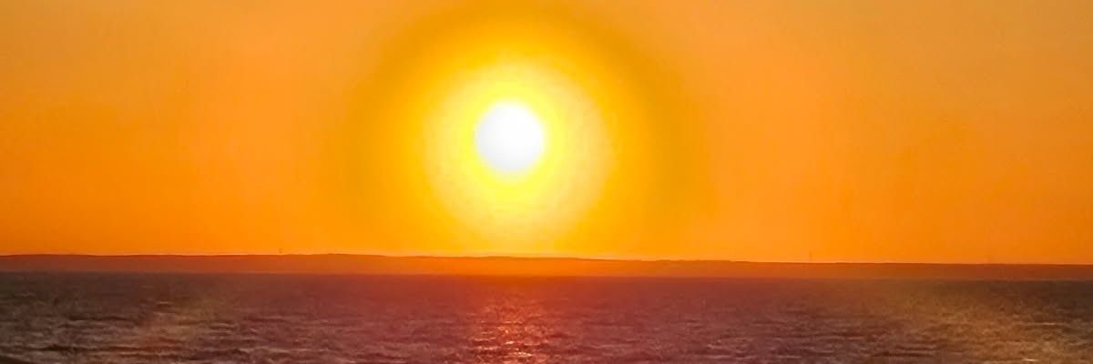 dcanidae's profile banner image