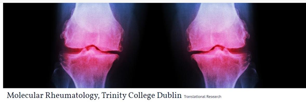Molecular Rheumatology TCD banner