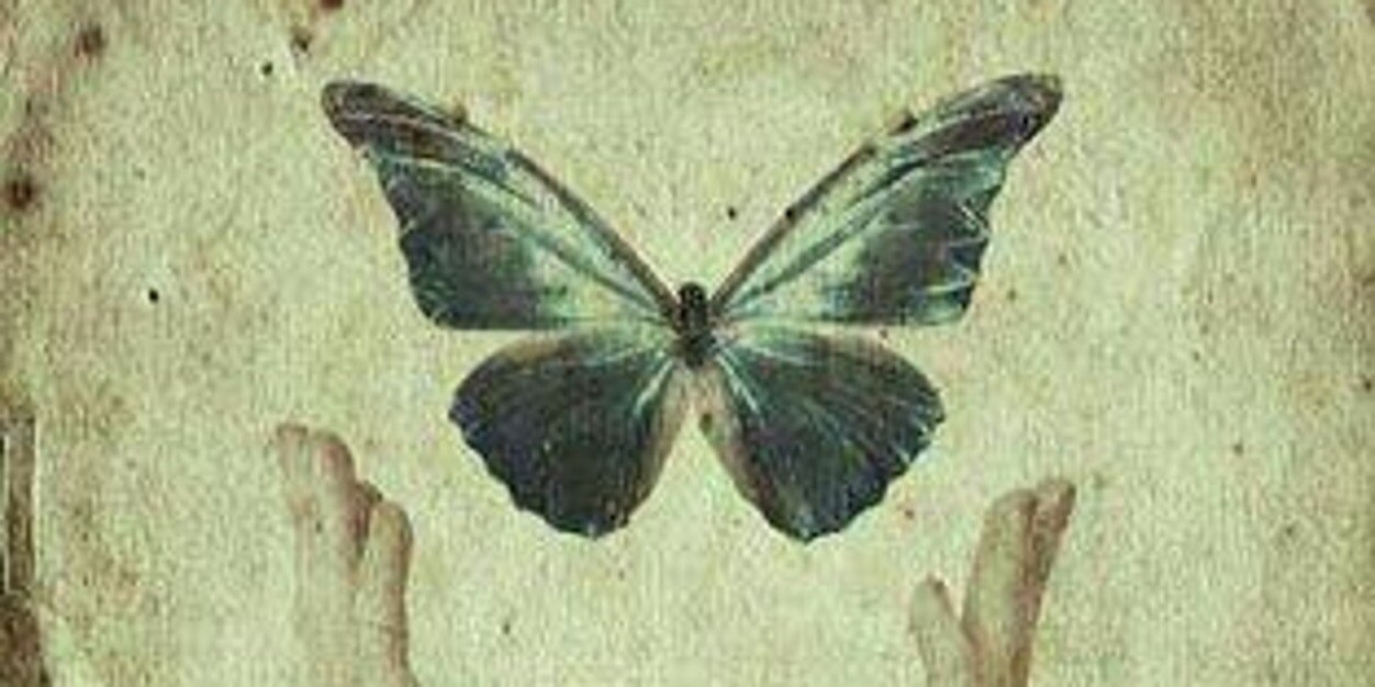 cinticarover's profile banner image