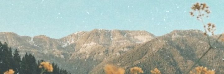 viljj's profile banner image