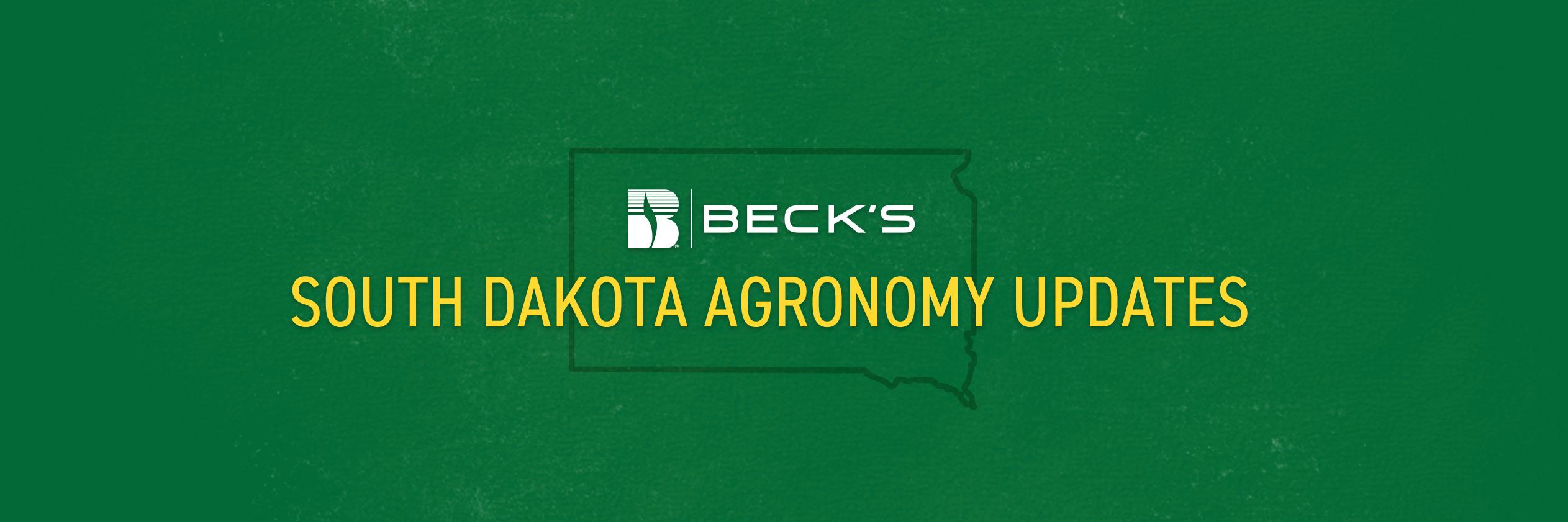 BecksAgSD's profile banner image
