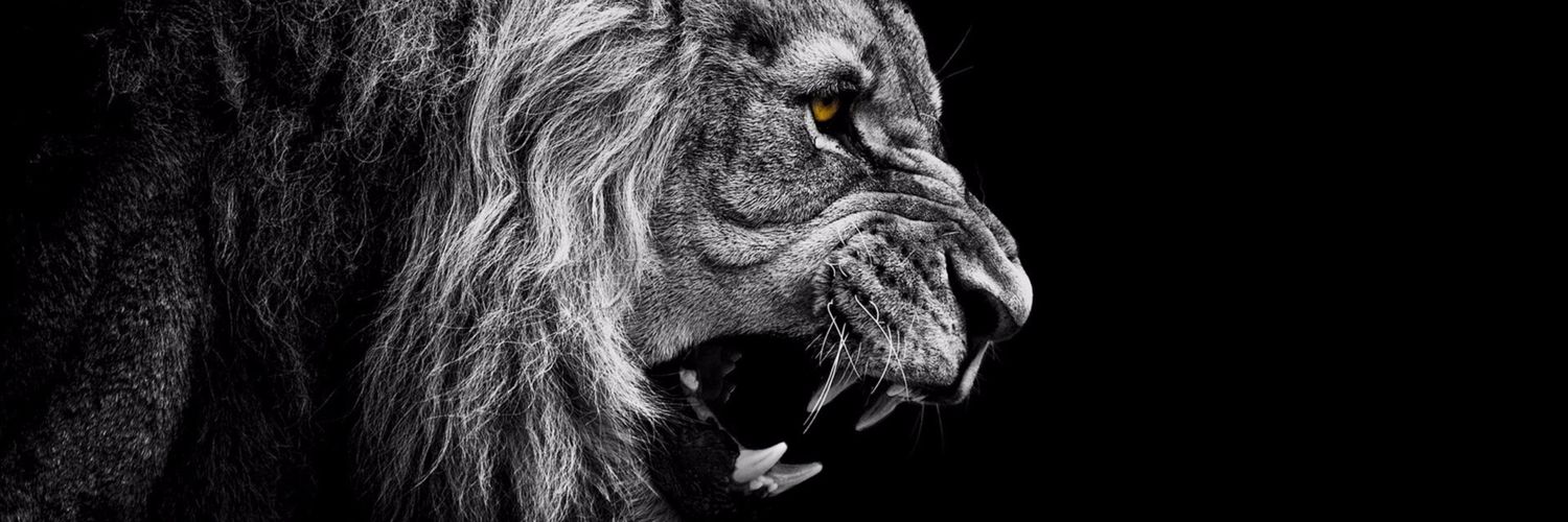jockenermark's profile banner image