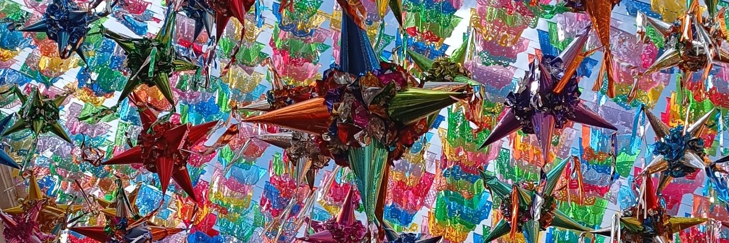 NickysTrikis's profile banner image
