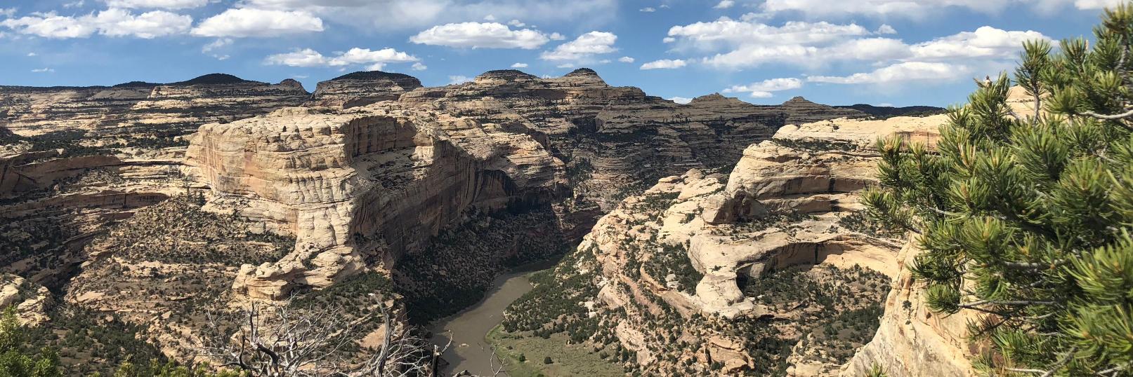 Mighty Arrow Family Foundation banner