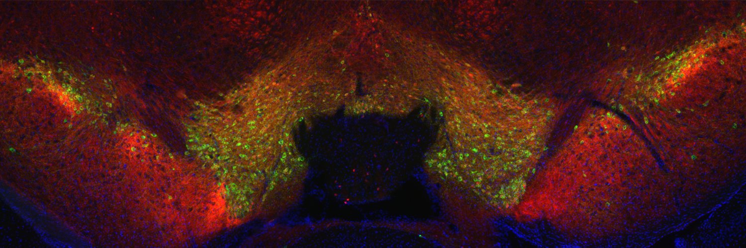 Güler Lab banner