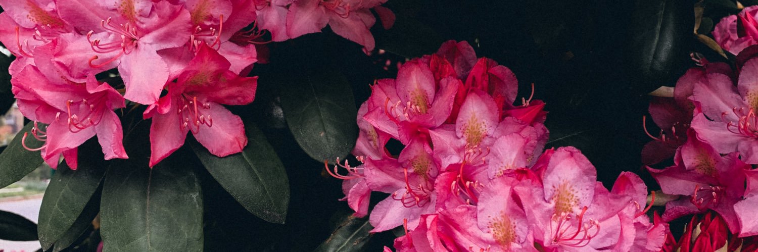 matildurr's profile banner image
