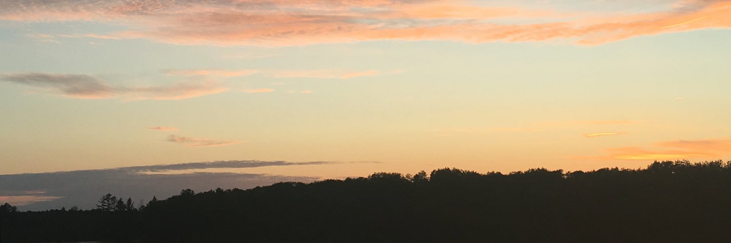 ldelmer55's profile banner image