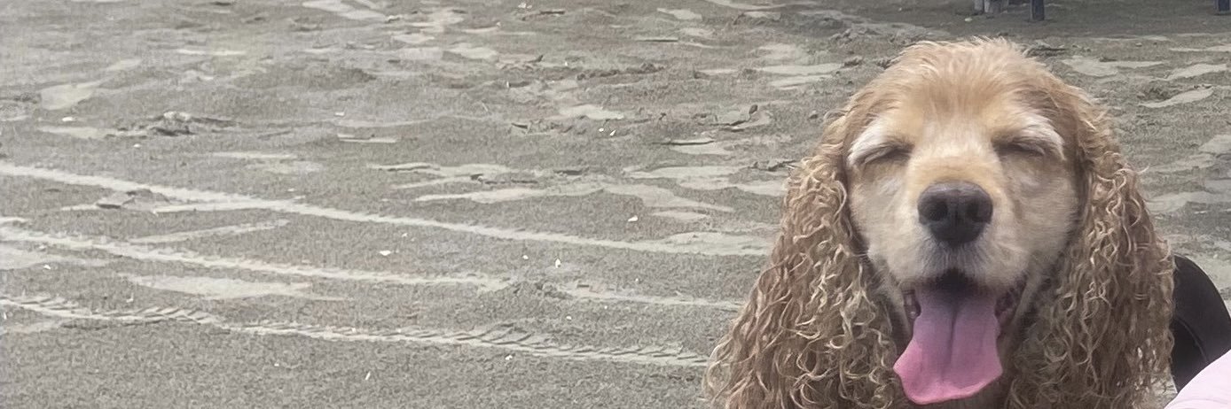 andrexxvii's profile banner image