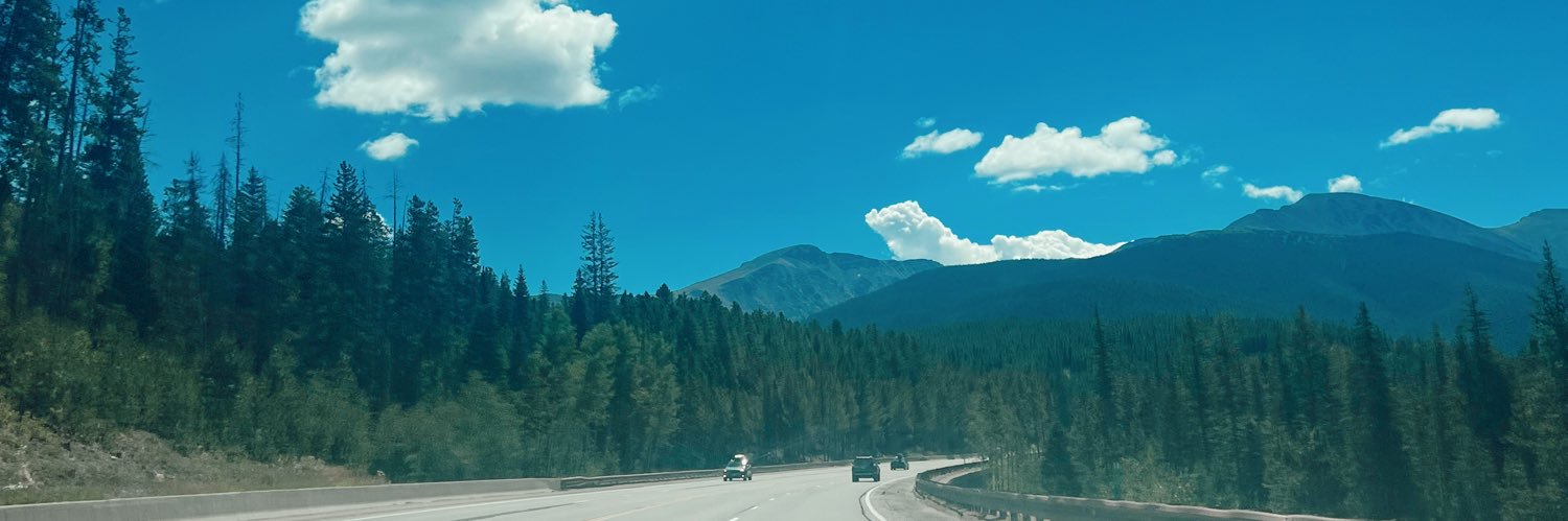 Alexis Martin banner