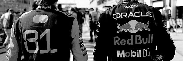 Лія 🦔 banner