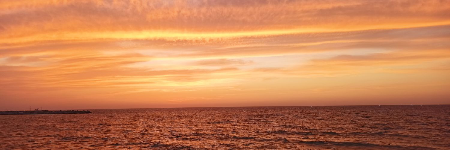 Wfaa56's profile banner image
