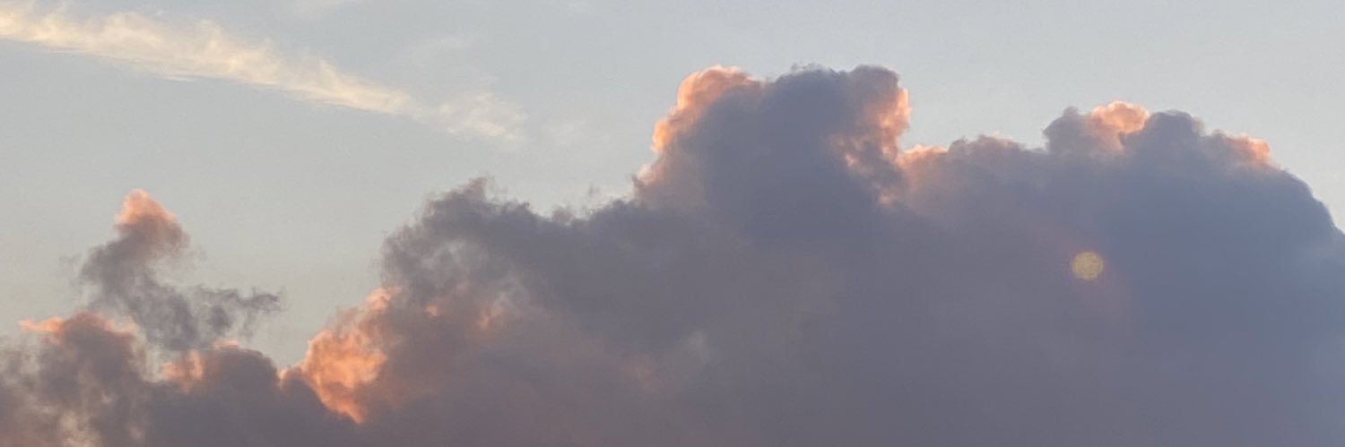 Li_and_Mo's profile banner image