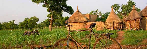 ansovomscheid Profile Banner