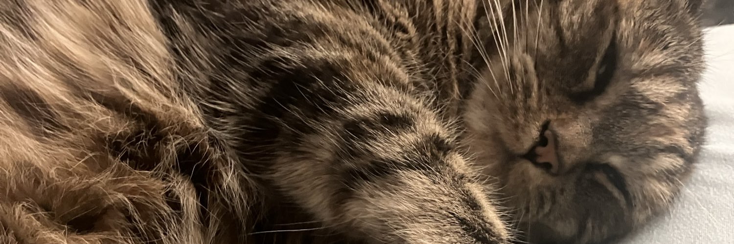 Darriden1's profile banner image