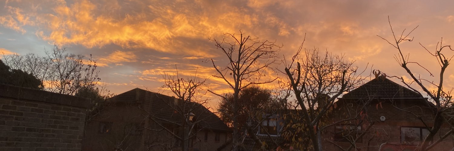 AmandaReedActor's profile banner image