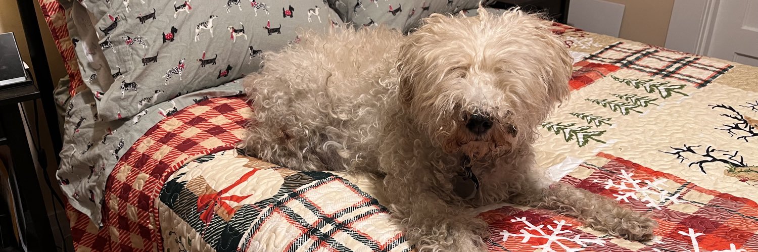 Isaac Mussomeli banner