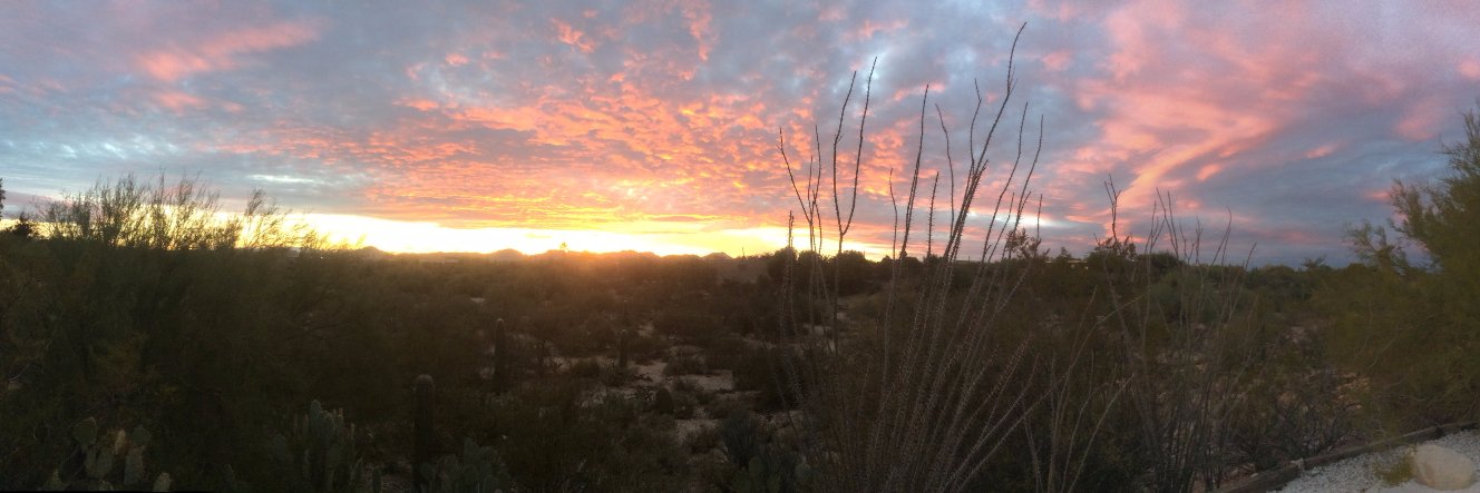 Monica Fallon banner