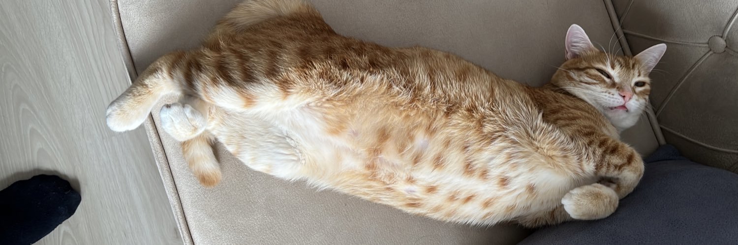 Mevlüt Utku Mert banner