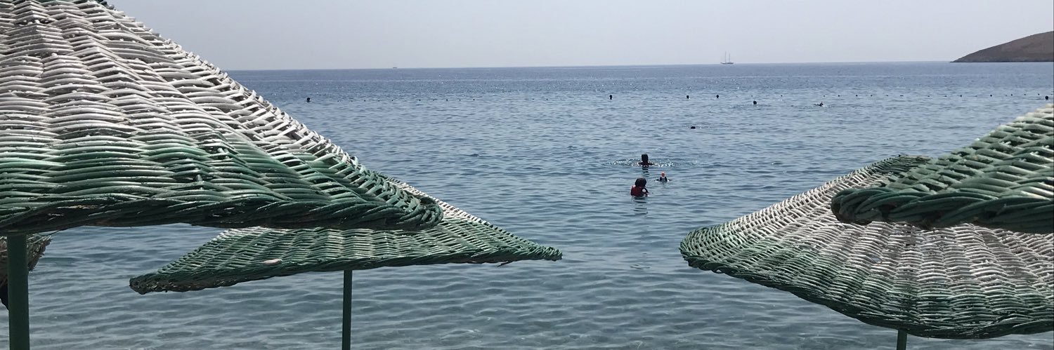Sevgi Ç. banner