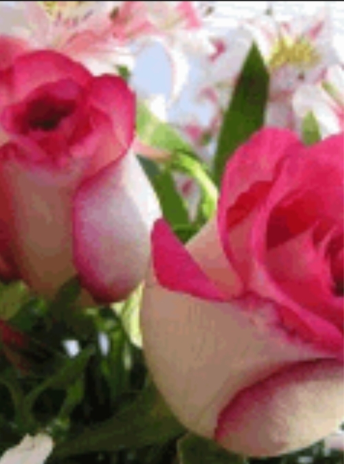 Nazzz banner