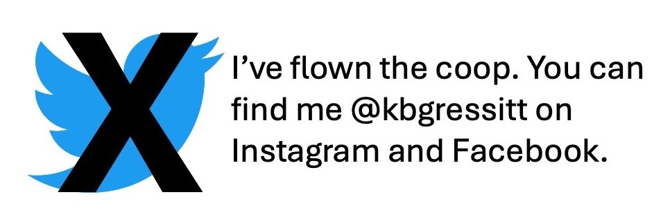 K-B Gressitt, she/her 🏳️‍🌈 banner