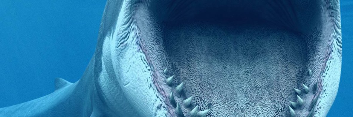 demungy's profile banner image