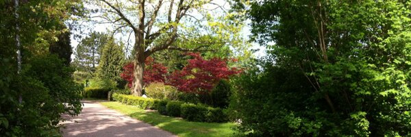 MStockmarr Profile Banner