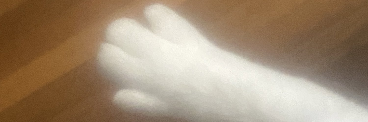 Sam banner