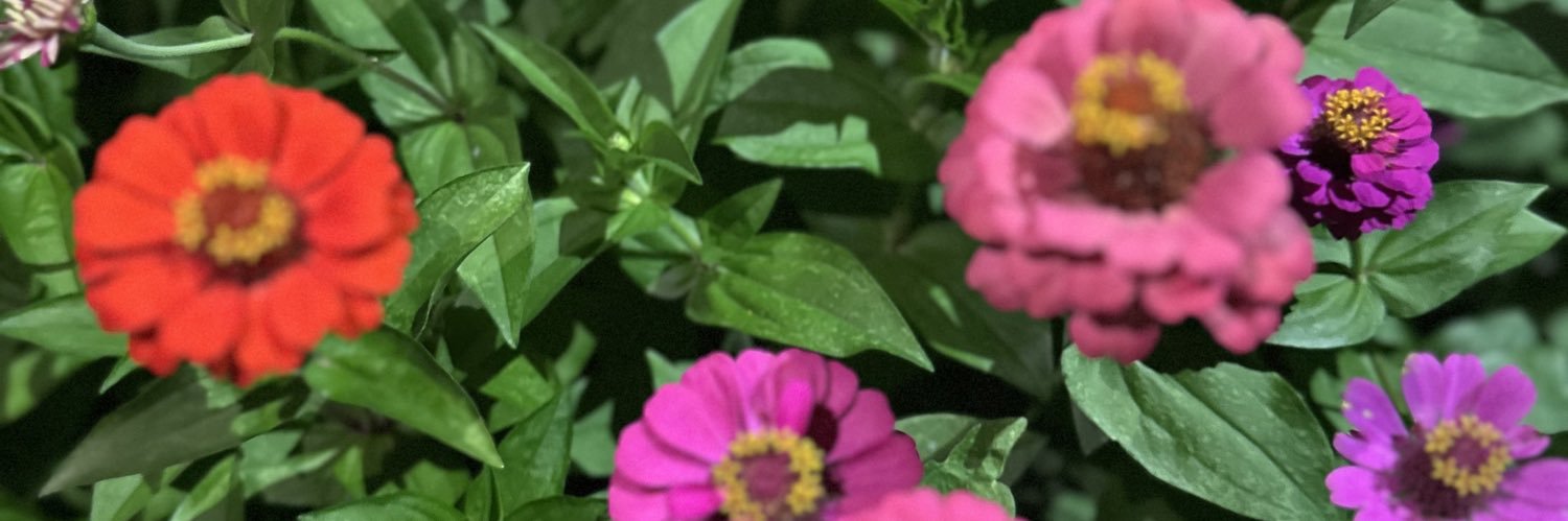oliViabark's profile banner image