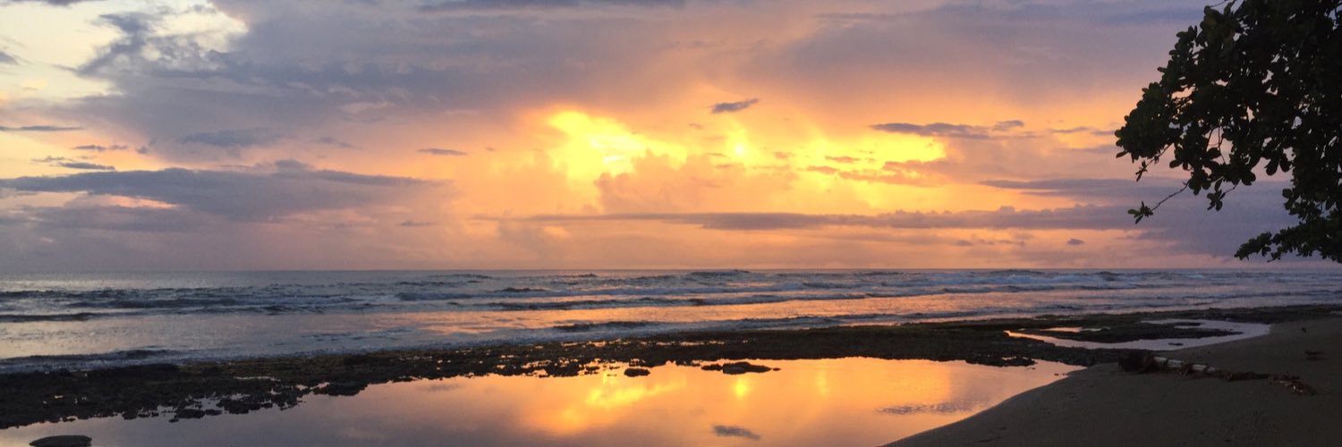 lizlog6's profile banner image