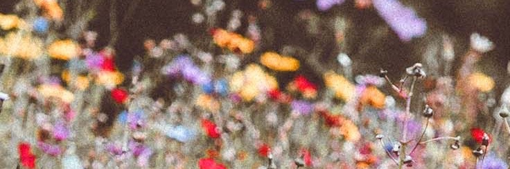 🤖 banner