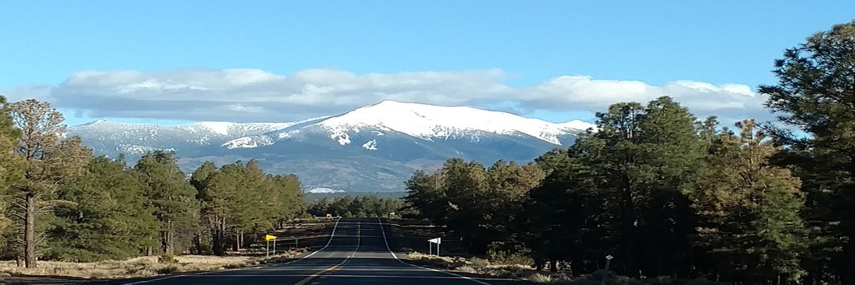 Recovering Republican banner