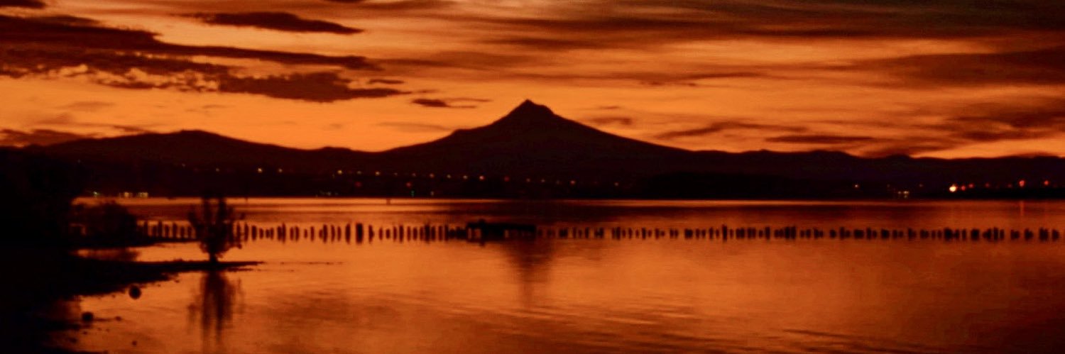 PCL 🌹♿️🇨🇦🏴‍☠️🇬🇱🇩🇰 banner