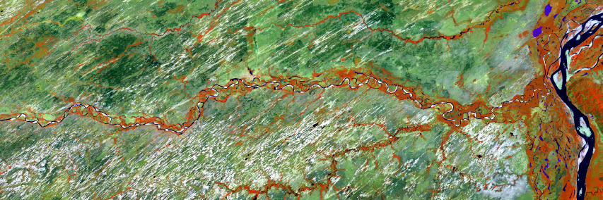 Eulogio Chacón-Moreno banner