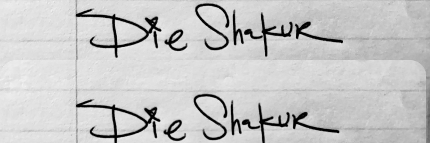 pieshakur's profile banner image
