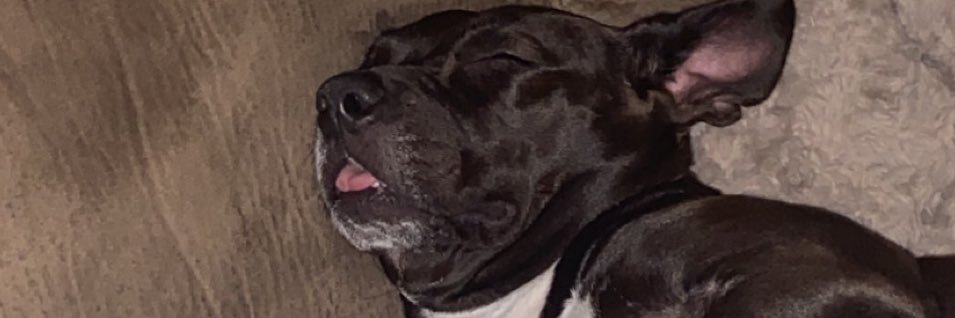 B_C_D11's profile banner image
