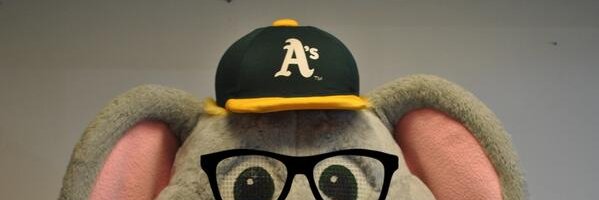 LewMiami's profile banner image