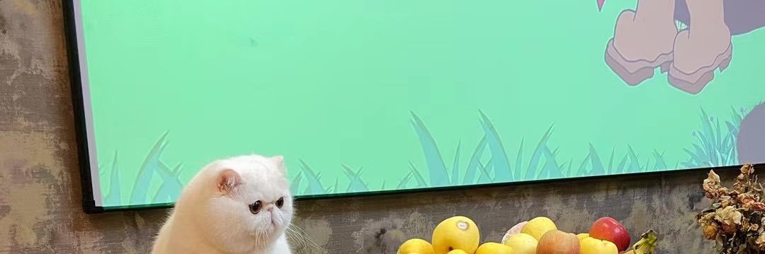 1ibraMike's profile banner image