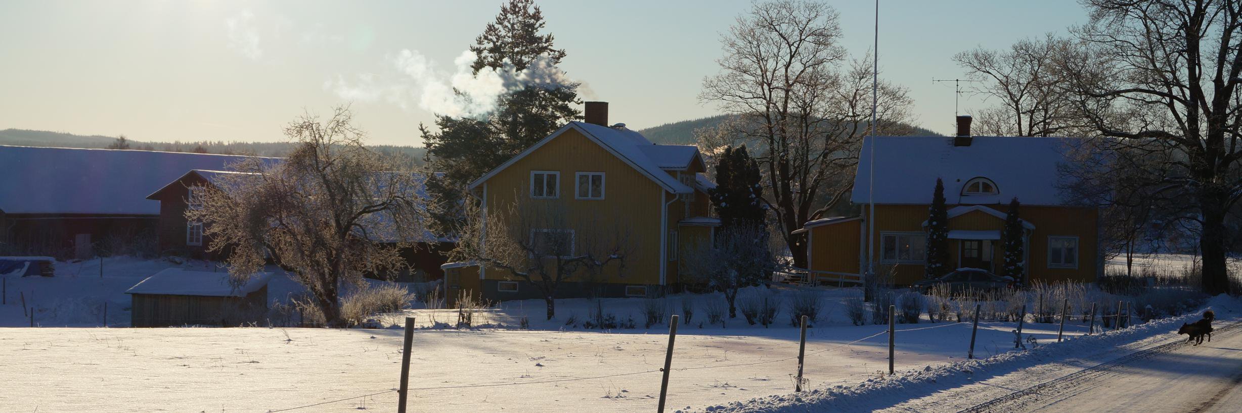 HelenaEriksso14's profile banner image