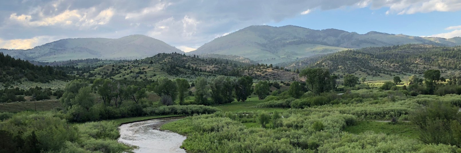 Peter Skidmore banner