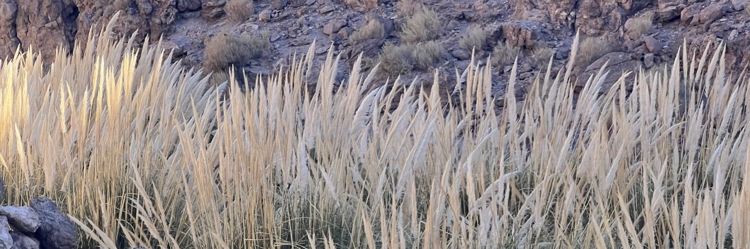 Eduard Tejerina banner