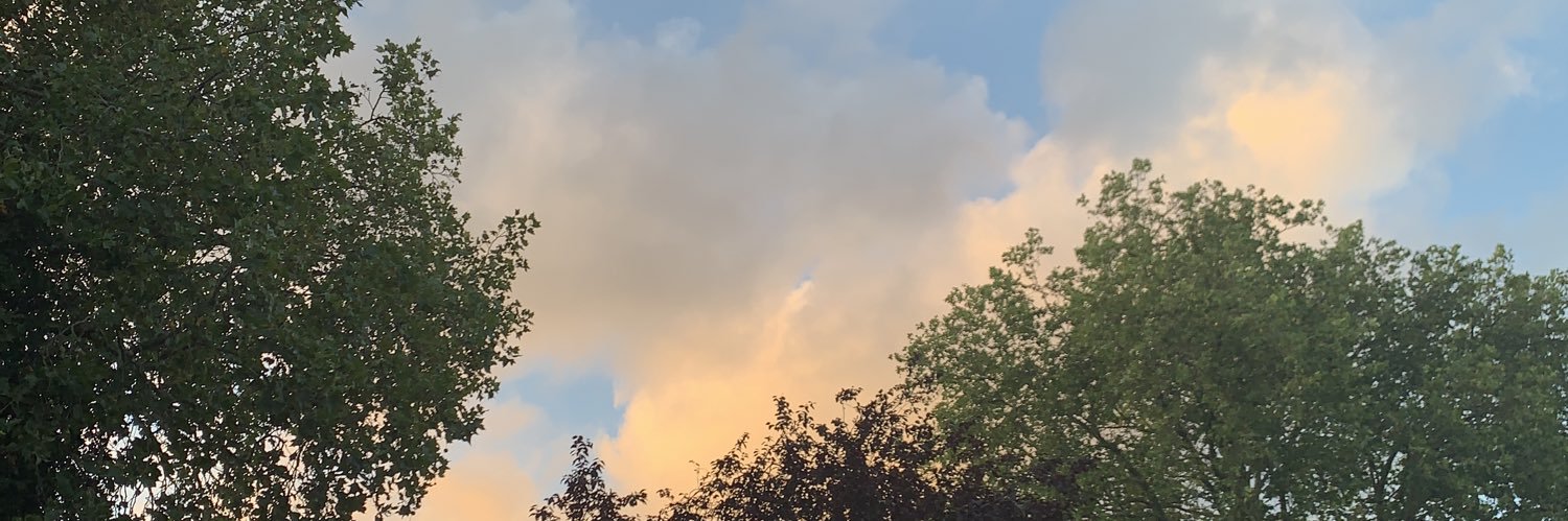 catladytopia's profile banner image