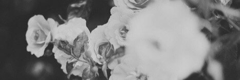 ladyyluna's profile banner image
