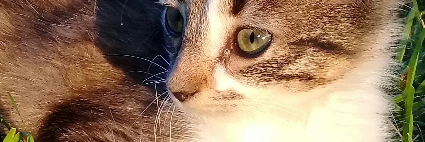 martumor_'s profile banner image
