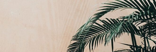Marija__A's profile banner image