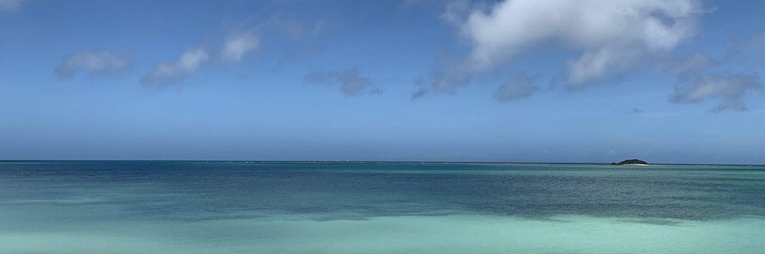 ＊akirin＊ 🇯🇵 banner