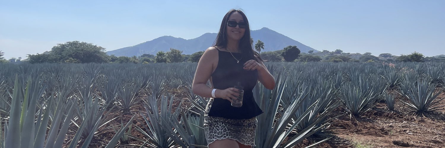 ValeeZamora's profile banner image