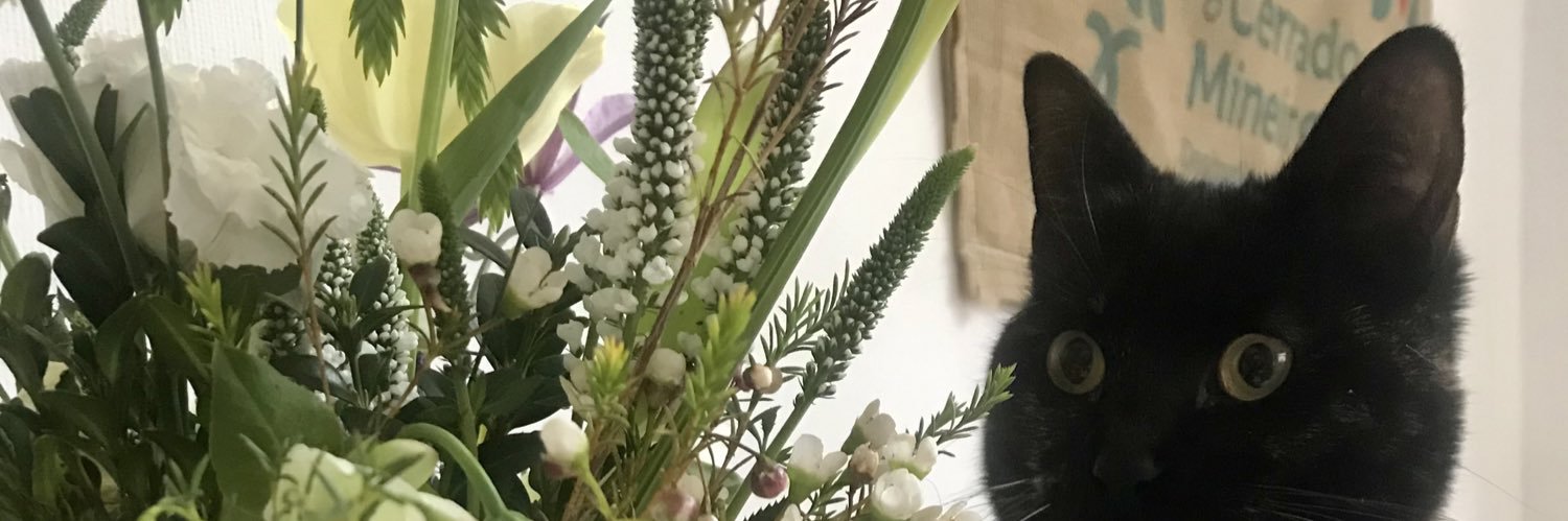 Ellie Simpson banner